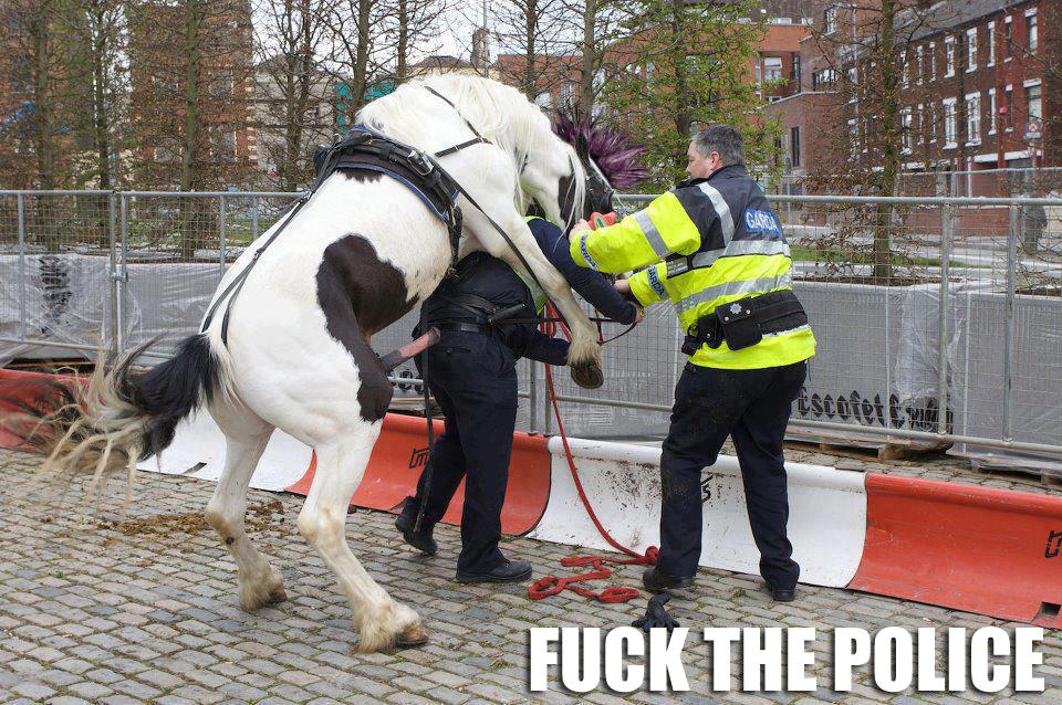 Fuck The Police