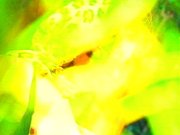 La tetona se pajea en el coche